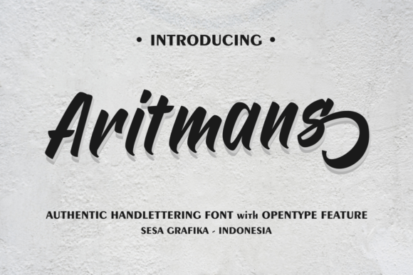 Font Choice That Matters: Aritmans for Campaign Success