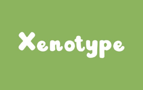 Xenotype Font: Elevate Your Brand with a Romantic Handwritten Style