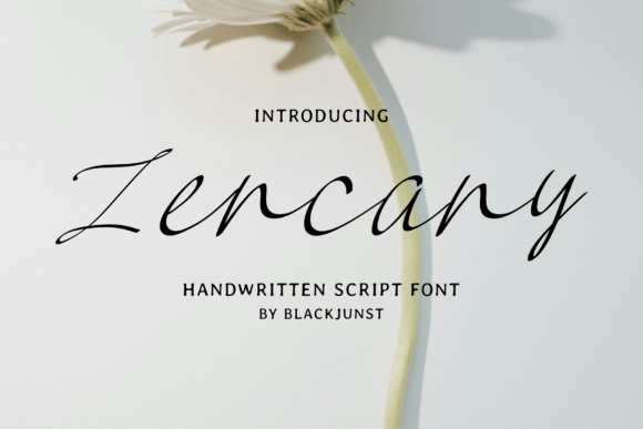 Zencany: The Script Font That Elevates Your Brand’s Visual Story